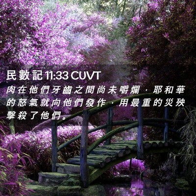 Picture 02 - 民 數 記 11:33 CUVT - 肉 在 他 們 牙 齒 之 間 尚 未 嚼 爛 - Bible Verse Picture