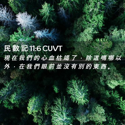 Picture 02 - 民 數 記 11:6 CUVT - 現 在 我 們 的 心 血 枯 竭 了 ， 除 - Bible Verse Picture