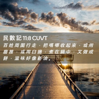 Picture 02 - 民 數 記 11:8 CUVT - 百 姓 周 圍 行 走 ， 把 嗎 哪 收 起 - Bible Verse Picture
