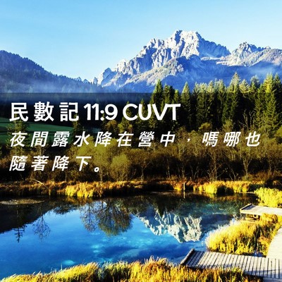Picture 02 - 民 數 記 11:9 CUVT - 夜 間 露 水 降 在 營 中 ， 嗎 哪 也 - Bible Verse Picture