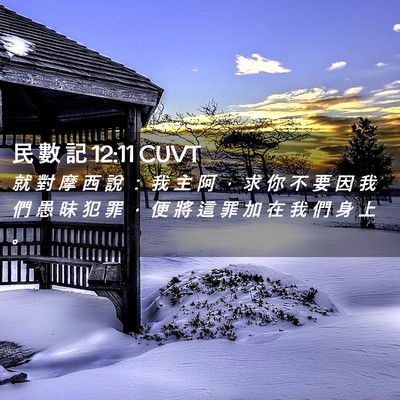 Picture 02 - 民 數 記 12:11 CUVT - 就 對 摩 西 說 ： 我 主 阿 ， 求 你 - Bible Verse Picture