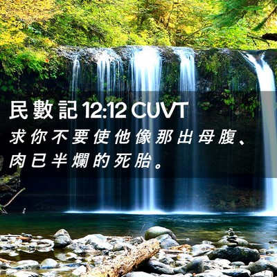 Picture 02 - 民 數 記 12:12 CUVT - 求 你 不 要 使 他 像 那 出 母 腹 、 - Bible Verse Picture