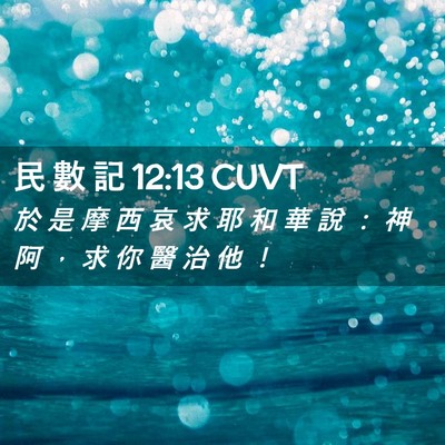 Picture 02 - 民 數 記 12:13 CUVT - 於 是 摩 西 哀 求 耶 和 華 說 ： 神 - Bible Verse Picture