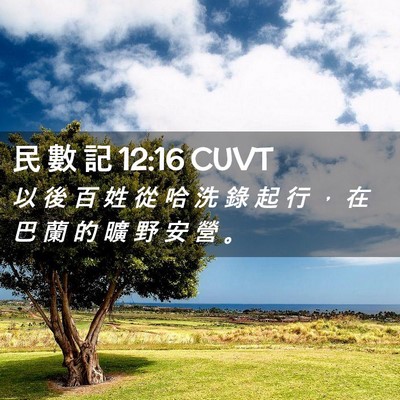 Picture 02 - 民 數 記 12:16 CUVT - 以 後 百 姓 從 哈 洗 錄 起 行 ， 在 - Bible Verse Picture