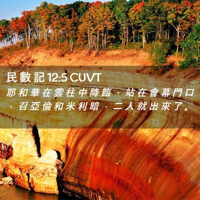 Picture 02 - 民 數 記 12:5 CUVT - 耶 和 華 在 雲 柱 中 降 臨 ， 站 在 - Bible Verse Picture