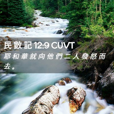 Picture 02 - 民 數 記 12:9 CUVT - 耶 和 華 就 向 他 們 二 人 發 怒 而 - Bible Verse Picture
