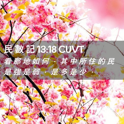 Picture 02 - 民 數 記 13:18 CUVT - 看 那 地 如 何 ， 其 中 所 住 的 民 - Bible Verse Picture