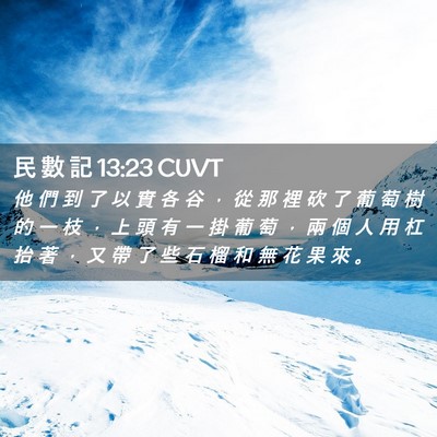 Picture 02 - 民 數 記 13:23 CUVT - 他 們 到 了 以 實 各 谷 ， 從 那 裡 - Bible Verse Picture