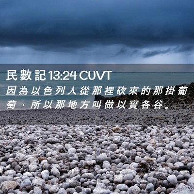 Picture 02 - 民 數 記 13:24 CUVT - 因 為 以 色 列 人 從 那 裡 砍 來 的 - Bible Verse Picture