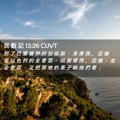 Picture 02 - 民 數 記 13:26 CUVT - 到 了 巴 蘭 曠 野 的 加 低 斯 ， 見 - Bible Verse Picture