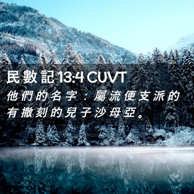 Picture 02 - 民 數 記 13:4 CUVT - 他 們 的 名 字 ： 屬 流 便 支 派 的 - Bible Verse Picture