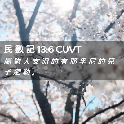 Picture 02 - 民 數 記 13:6 CUVT - 屬 猶 大 支 派 的 有 耶 孚 尼 的 兒 - Bible Verse Picture