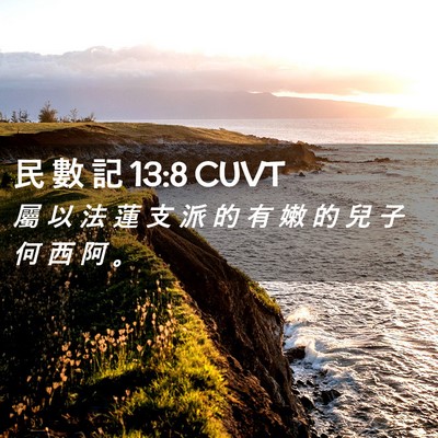 Picture 02 - 民 數 記 13:8 CUVT - 屬 以 法 蓮 支 派 的 有 嫩 的 兒 子 - Bible Verse Picture