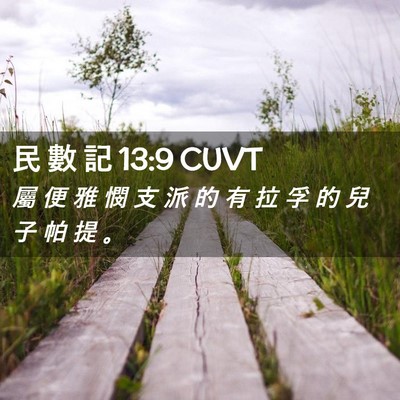 Picture 02 - 民 數 記 13:9 CUVT - 屬 便 雅 憫 支 派 的 有 拉 孚 的 兒 - Bible Verse Picture