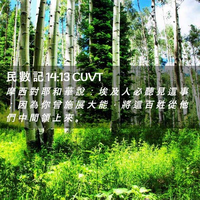 Picture 02 - 民 數 記 14:13 CUVT - 摩 西 對 耶 和 華 說 ： 埃 及 人 必 - Bible Verse Picture