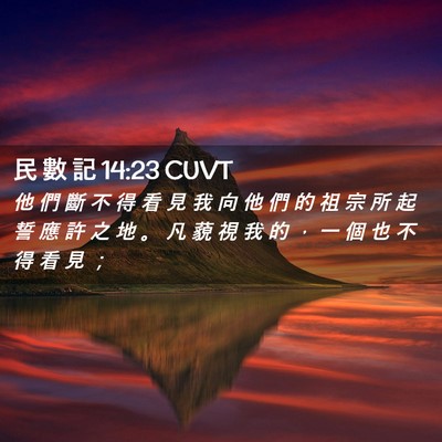 Picture 02 - 民 數 記 14:23 CUVT - 他 們 斷 不 得 看 見 我 向 他 們 的 - Bible Verse Picture