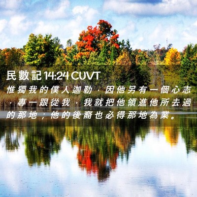 Picture 02 - 民 數 記 14:24 CUVT - 惟 獨 我 的 僕 人 迦 勒 ， 因 他 另 - Bible Verse Picture