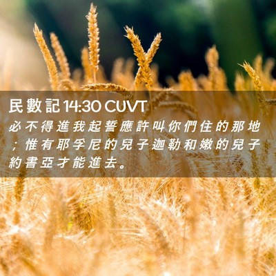 Picture 02 - 民 數 記 14:30 CUVT - 必 不 得 進 我 起 誓 應 許 叫 你 們 - Bible Verse Picture