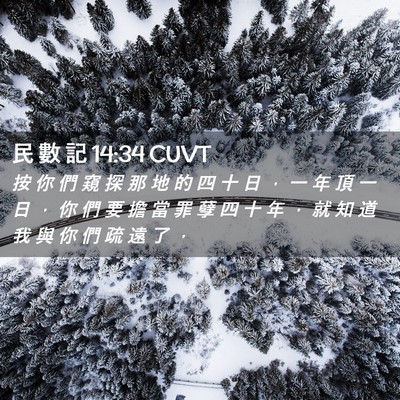 Picture 02 - 民 數 記 14:34 CUVT - 按 你 們 窺 探 那 地 的 四 十 日 ， - Bible Verse Picture