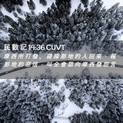 Picture 02 - 民 數 記 14:36 CUVT - 摩 西 所 打 發 、 窺 探 那 地 的 人 - Bible Verse Picture