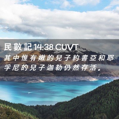 Picture 02 - 民 數 記 14:38 CUVT - 其 中 惟 有 嫩 的 兒 子 約 書 亞 和 - Bible Verse Picture