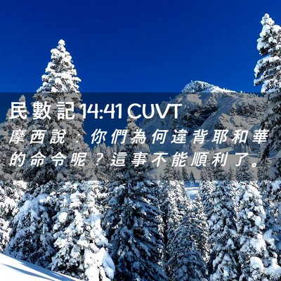 Picture 02 - 民 數 記 14:41 CUVT - 摩 西 說 ： 你 們 為 何 違 背 耶 和 - Bible Verse Picture