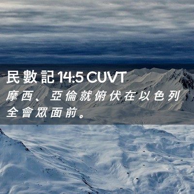 Picture 02 - 民 數 記 14:5 CUVT - 摩 西 、 亞 倫 就 俯 伏 在 以 色 列 - Bible Verse Picture