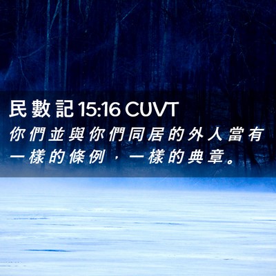 Picture 02 - 民 數 記 15:16 CUVT - 你 們 並 與 你 們 同 居 的 外 人 當 - Bible Verse Picture