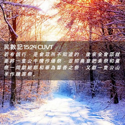 Picture 02 - 民 數 記 15:24 CUVT - 若 有 誤 行 ， 是 會 眾 所 不 知 道 - Bible Verse Picture