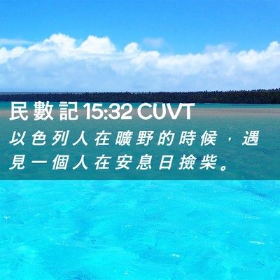 Picture 02 - 民 數 記 15:32 CUVT - 以 色 列 人 在 曠 野 的 時 候 ， 遇 - Bible Verse Picture