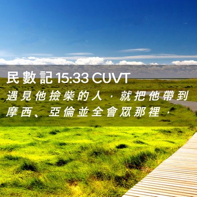 Picture 02 - 民 數 記 15:33 CUVT - 遇 見 他 撿 柴 的 人 ， 就 把 他 帶 - Bible Verse Picture