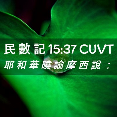 Picture 02 - 民 數 記 15:37 CUVT - 耶 和 華 曉 諭 摩 西 說 - Bible Verse Picture