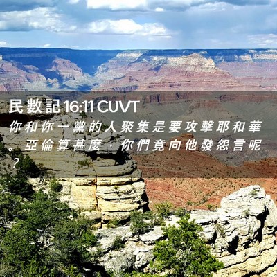 Picture 02 - 民 數 記 16:11 CUVT - 你 和 你 一 黨 的 人 聚 集 是 要 攻 - Bible Verse Picture