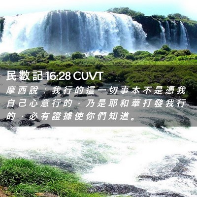 Picture 02 - 民 數 記 16:28 CUVT - 摩 西 說 ： 我 行 的 這 一 切 事 本 - Bible Verse Picture