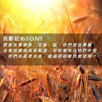 Picture 02 - 民 數 記 16:3 CUVT - 聚 集 攻 擊 摩 西 、 亞 倫 ， 說 ： - Bible Verse Picture