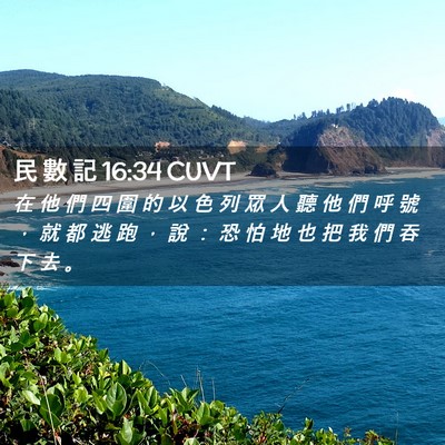 Picture 02 - 民 數 記 16:34 CUVT - 在 他 們 四 圍 的 以 色 列 眾 人 聽 - Bible Verse Picture