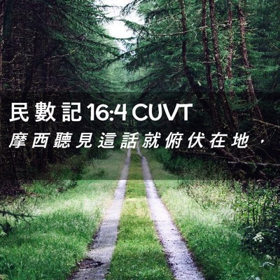 Picture 02 - 民 數 記 16:4 CUVT - 摩 西 聽 見 這 話 就 俯 伏 在 地 - Bible Verse Picture