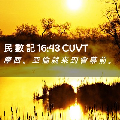 Picture 02 - 民 數 記 16:43 CUVT - 摩 西 、 亞 倫 就 來 到 會 幕 前 - Bible Verse Picture
