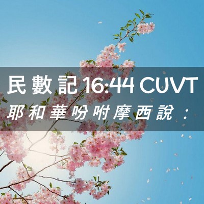 Picture 02 - 民 數 記 16:44 CUVT - 耶 和 華 吩 咐 摩 西 說 - Bible Verse Picture