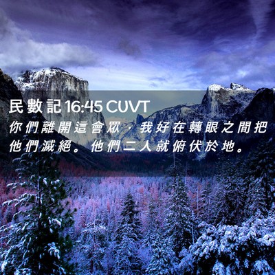Picture 02 - 民 數 記 16:45 CUVT - 你 們 離 開 這 會 眾 ， 我 好 在 轉 - Bible Verse Picture