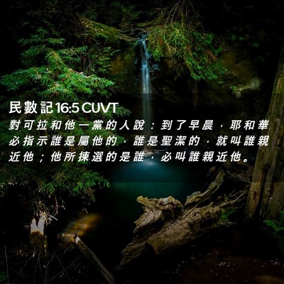 Picture 02 - 民 數 記 16:5 CUVT - 對 可 拉 和 他 一 黨 的 人 說 ： 到 - Bible Verse Picture