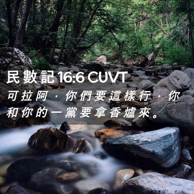 Picture 02 - 民 數 記 16:6 CUVT - 可 拉 阿 ， 你 們 要 這 樣 行 ， 你 - Bible Verse Picture