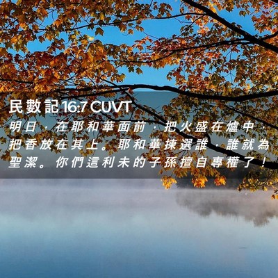 Picture 02 - 民 數 記 16:7 CUVT - 明 日 ， 在 耶 和 華 面 前 ， 把 火 - Bible Verse Picture