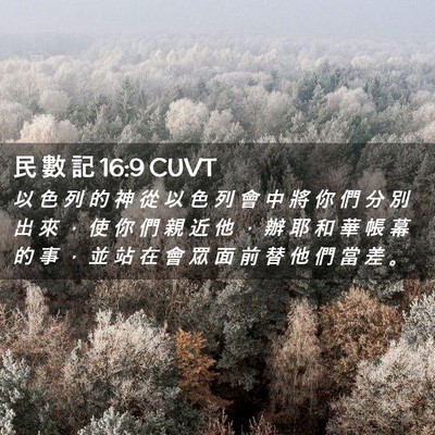 Picture 02 - 民 數 記 16:9 CUVT - 以 色 列 的 神 從 以 色 列 會 中 將 - Bible Verse Picture