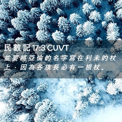 Picture 02 - 民 數 記 17:3 CUVT - 並 要 將 亞 倫 的 名 字 寫 在 利 未 - Bible Verse Picture