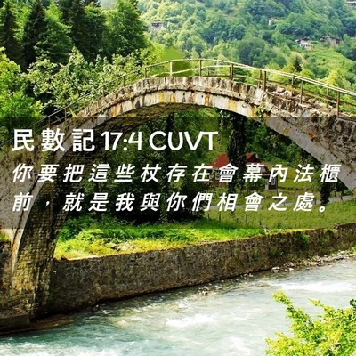 Picture 02 - 民 數 記 17:4 CUVT - 你 要 把 這 些 杖 存 在 會 幕 內 法 - Bible Verse Picture