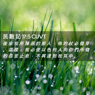 Picture 02 - 民 數 記 17:5 CUVT - 後 來 我 所 揀 選 的 那 人 ， 他 的 - Bible Verse Picture