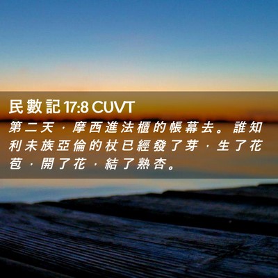 Picture 02 - 民 數 記 17:8 CUVT - 第 二 天 ， 摩 西 進 法 櫃 的 帳 幕 - Bible Verse Picture