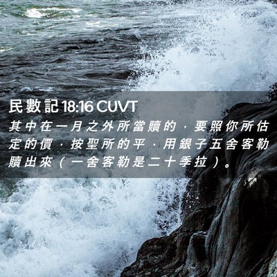 Picture 02 - 民 數 記 18:16 CUVT - 其 中 在 一 月 之 外 所 當 贖 的 ， - Bible Verse Picture