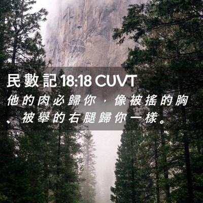 Picture 02 - 民 數 記 18:18 CUVT - 他 的 肉 必 歸 你 ， 像 被 搖 的 胸 - Bible Verse Picture